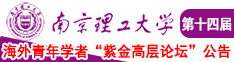 九幺操屄教程南京理工大学第十四届海外青年学者紫金论坛诚邀海内外英才！